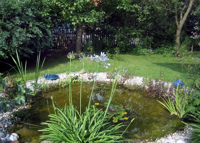 eigner-gartenbau-7