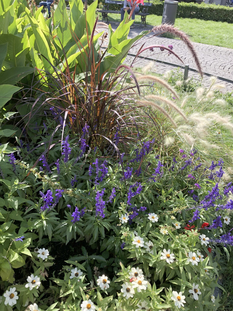 Gartenbau-Eigner33