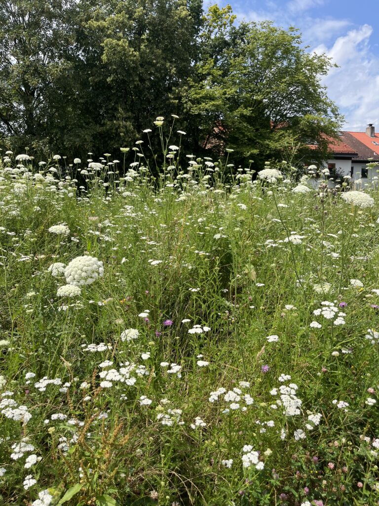 Gartenbau-Eigner54