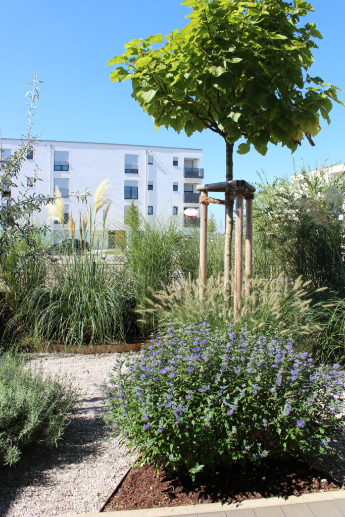 Kleingarten-Eigner-Gartenbau