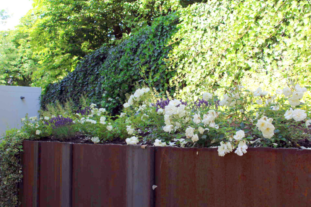 Trockenmauer-2-Gartenbau-Eigner