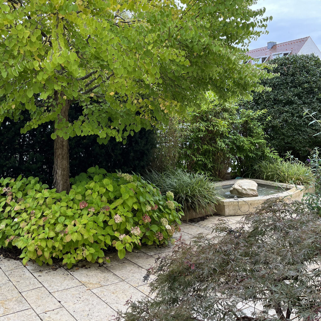 Wasserbecken-Gartenbau-Eigner48